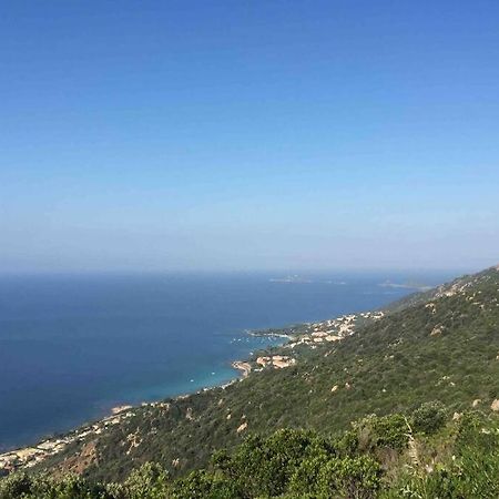Ajaccio Magnifique T2 Neuf 40M2 Avec Balcon Au Trottel 4 Couchages Wifi Clim Parking Plage A Pieds 100M 外观 照片