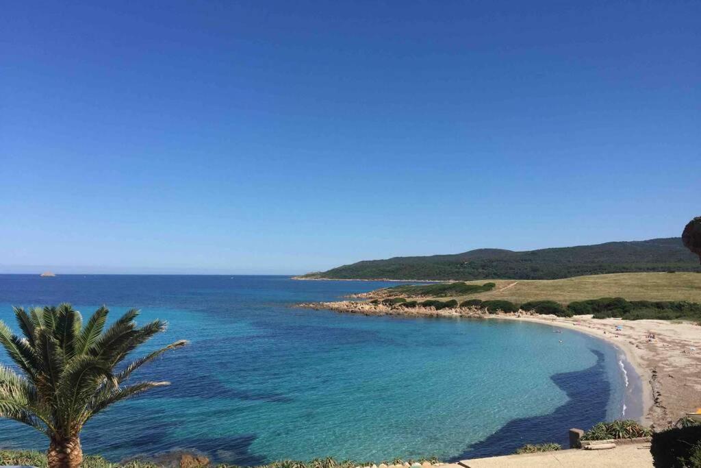 Ajaccio Magnifique T2 Neuf 40M2 Avec Balcon Au Trottel 4 Couchages Wifi Clim Parking Plage A Pieds 100M 外观 照片