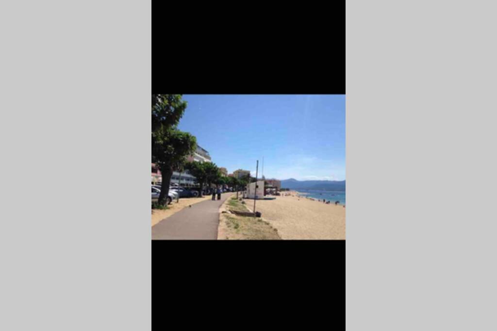 Ajaccio Magnifique T2 Neuf 40M2 Avec Balcon Au Trottel 4 Couchages Wifi Clim Parking Plage A Pieds 100M 外观 照片