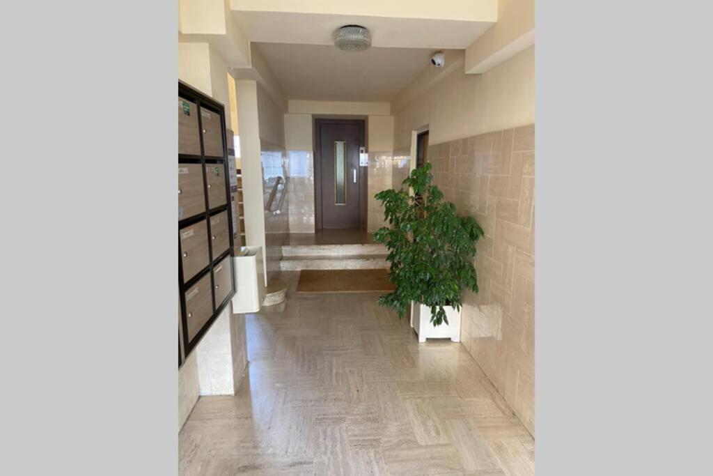 Ajaccio Magnifique T2 Neuf 40M2 Avec Balcon Au Trottel 4 Couchages Wifi Clim Parking Plage A Pieds 100M 外观 照片