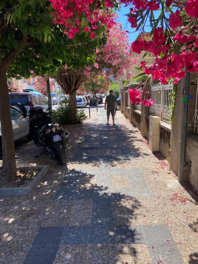 Ajaccio Magnifique T2 Neuf 40M2 Avec Balcon Au Trottel 4 Couchages Wifi Clim Parking Plage A Pieds 100M 外观 照片