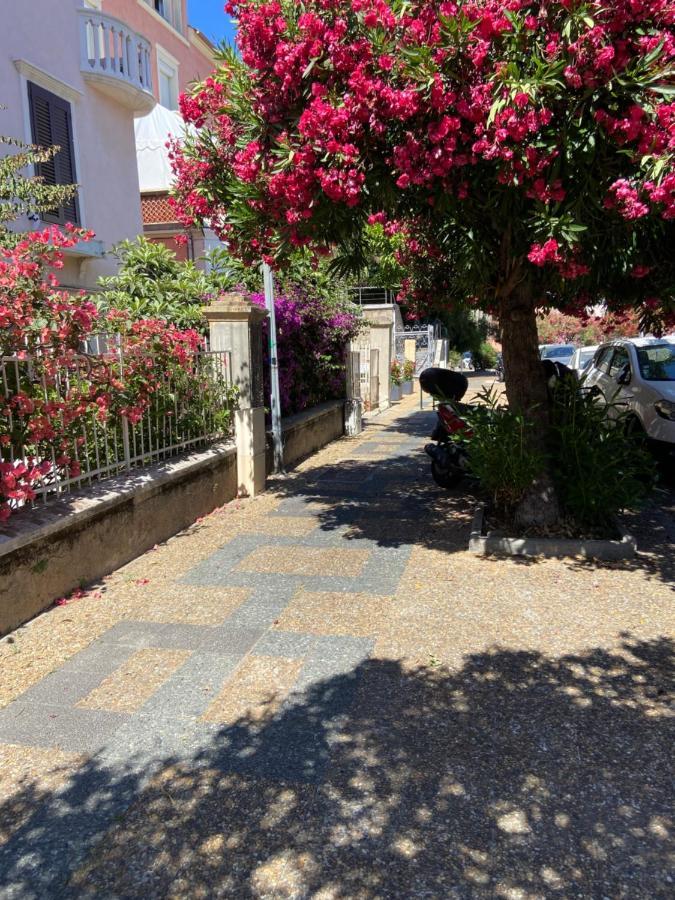 Ajaccio Magnifique T2 Neuf 40M2 Avec Balcon Au Trottel 4 Couchages Wifi Clim Parking Plage A Pieds 100M 外观 照片