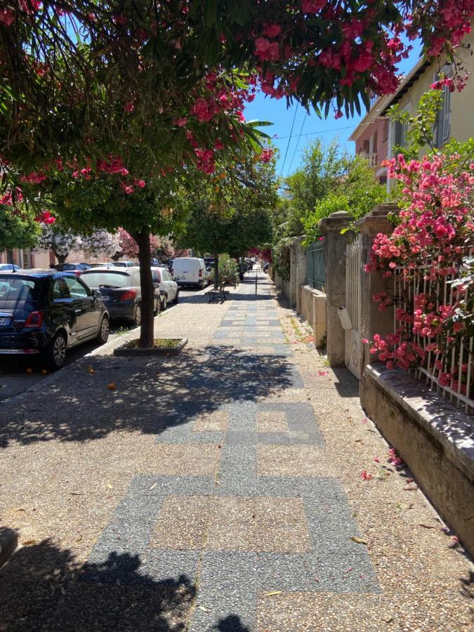 Ajaccio Magnifique T2 Neuf 40M2 Avec Balcon Au Trottel 4 Couchages Wifi Clim Parking Plage A Pieds 100M 外观 照片